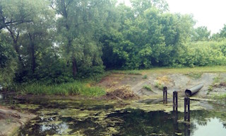 Экологические услуги от ПромМир-Нвг в Новом Уренгое - стоимость от 12478 руб.