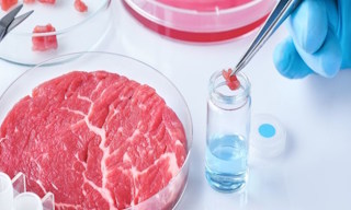 Лабораторный анализ пищевых продуктов по СанПиН в Новом Уренгое в октябре