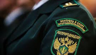 Подготовка к проверке Росприроднадзора в Новом Уренгое от ПромМир-Нвг, стоимость услуги от 20796 руб.